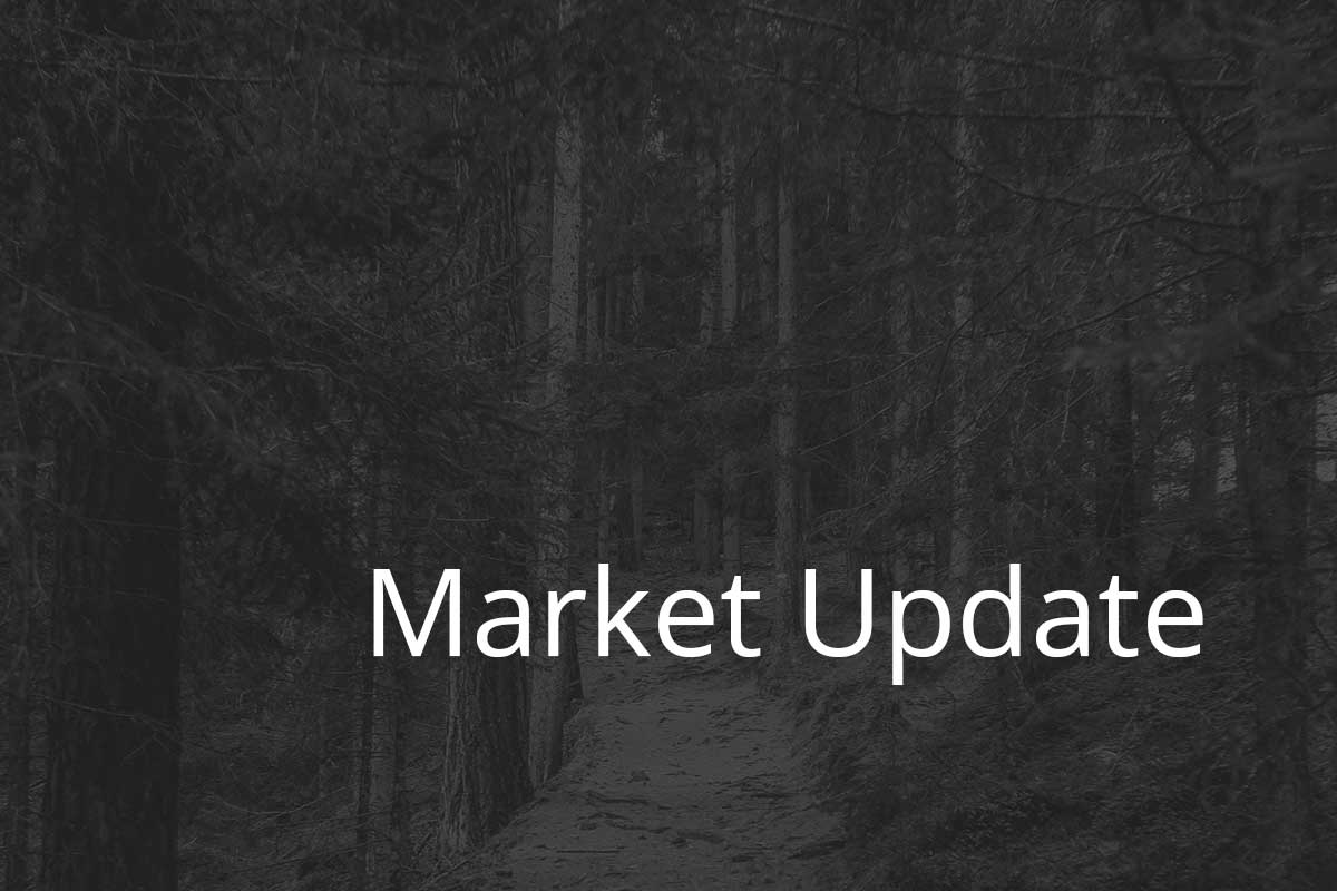 Featured image for “Q2 2023 Market Update”